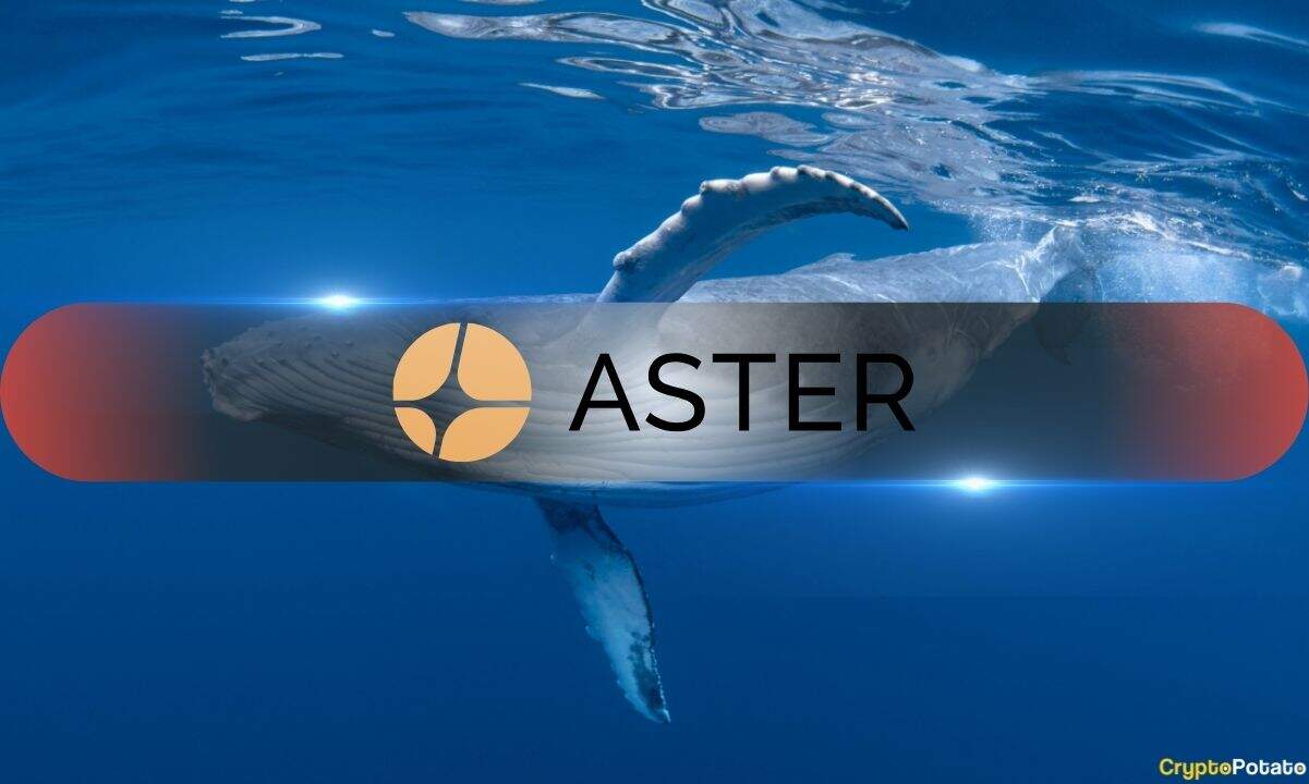 Whales Scoop Up Over  M in ASTER Within 24 Hours