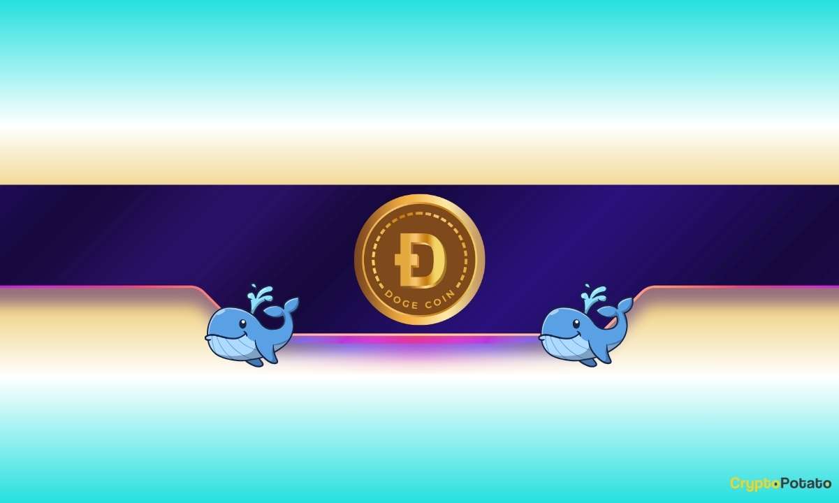 30,000,000 DOGE in Just 1 Day: Is Dogecoin Gearing up for Further Rally?