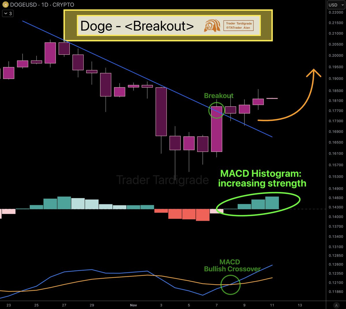 DOGE Chart
