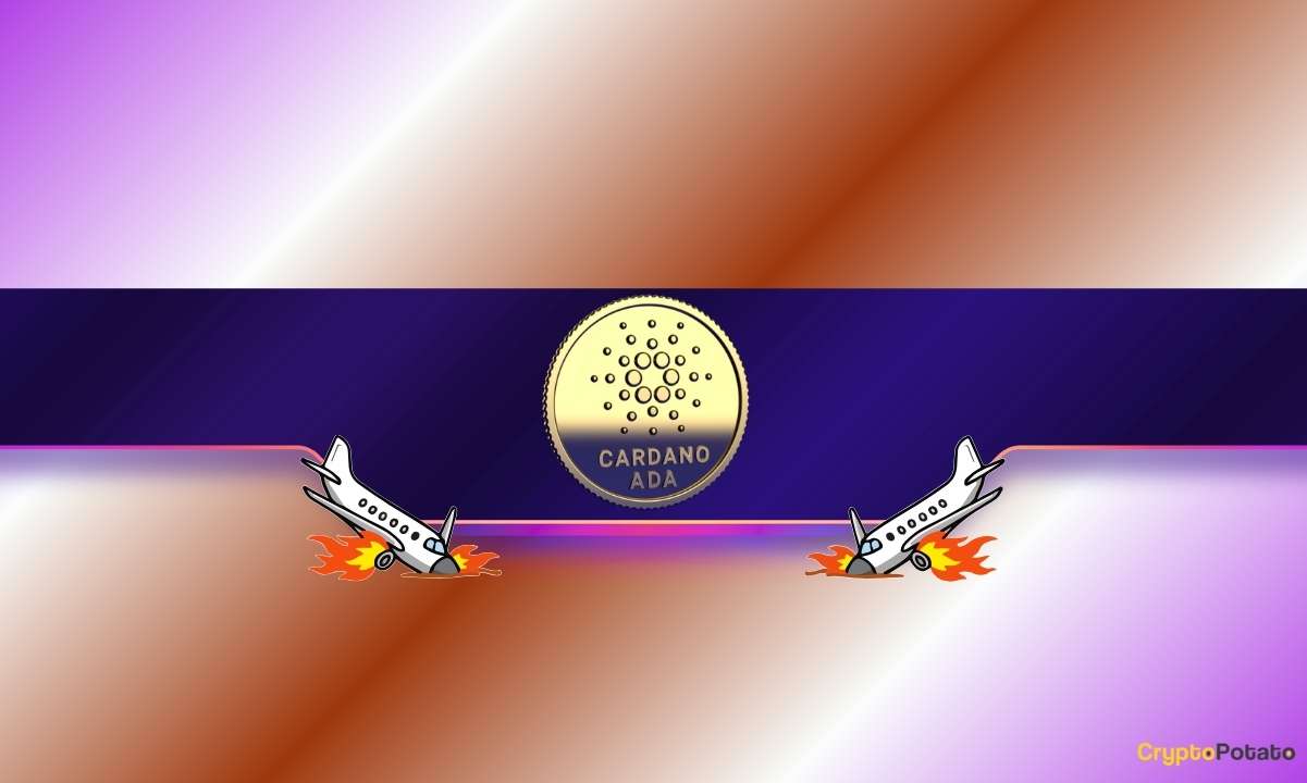 ADA Price Alert: Why Cardano Investors Are Moving Assets to Self-Custody Now