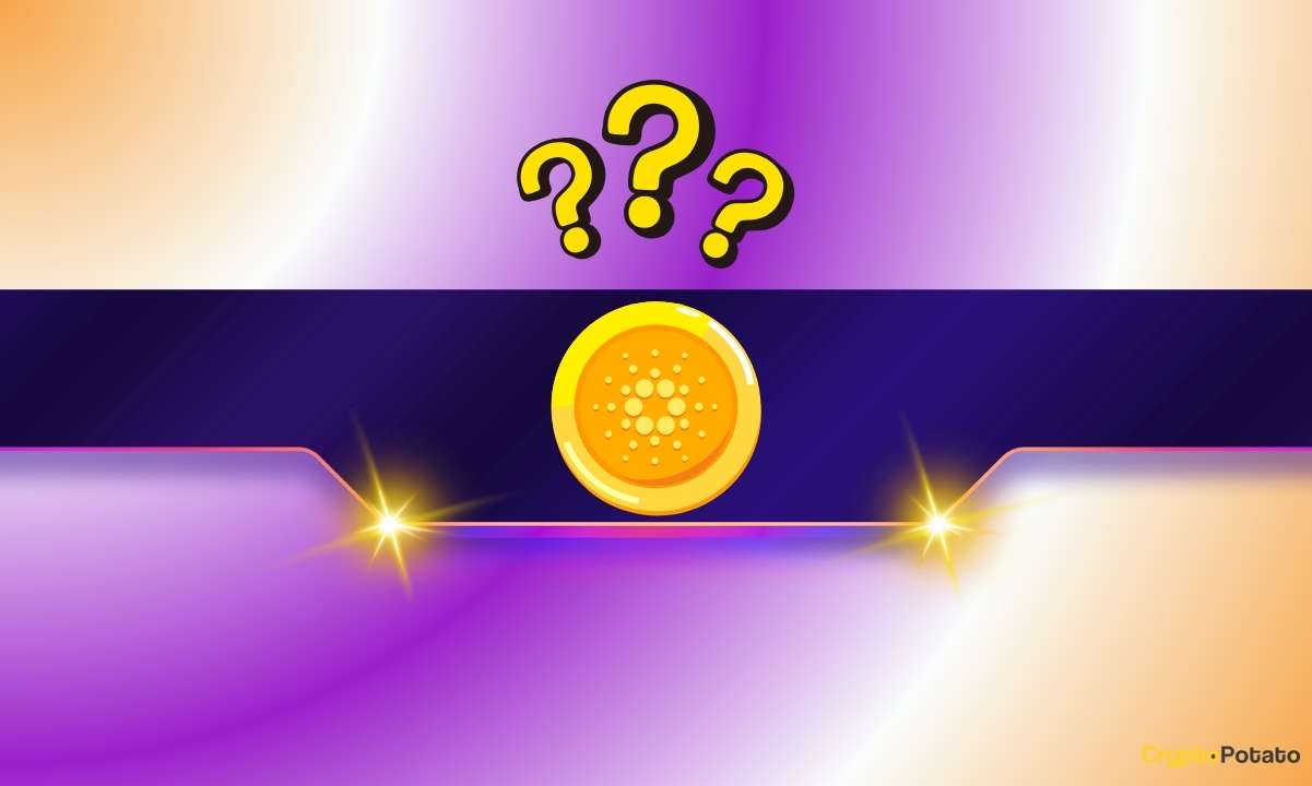 Cardano’s Next Support Levels as ADA Tumbles by Double Digits in a Week