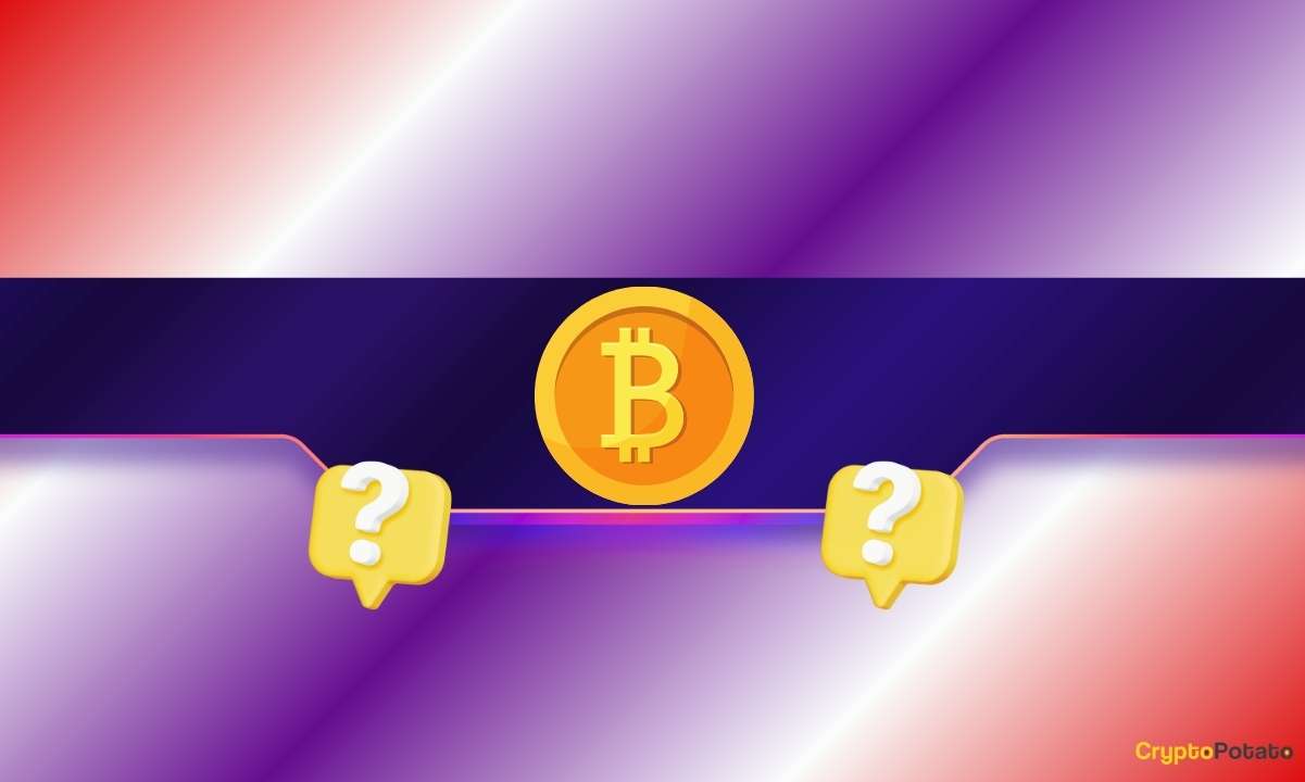 ‘It Seems Like BTC is Going to Zero?’ Prominent Voices Explain Why Dave Portnoy Is Wrong