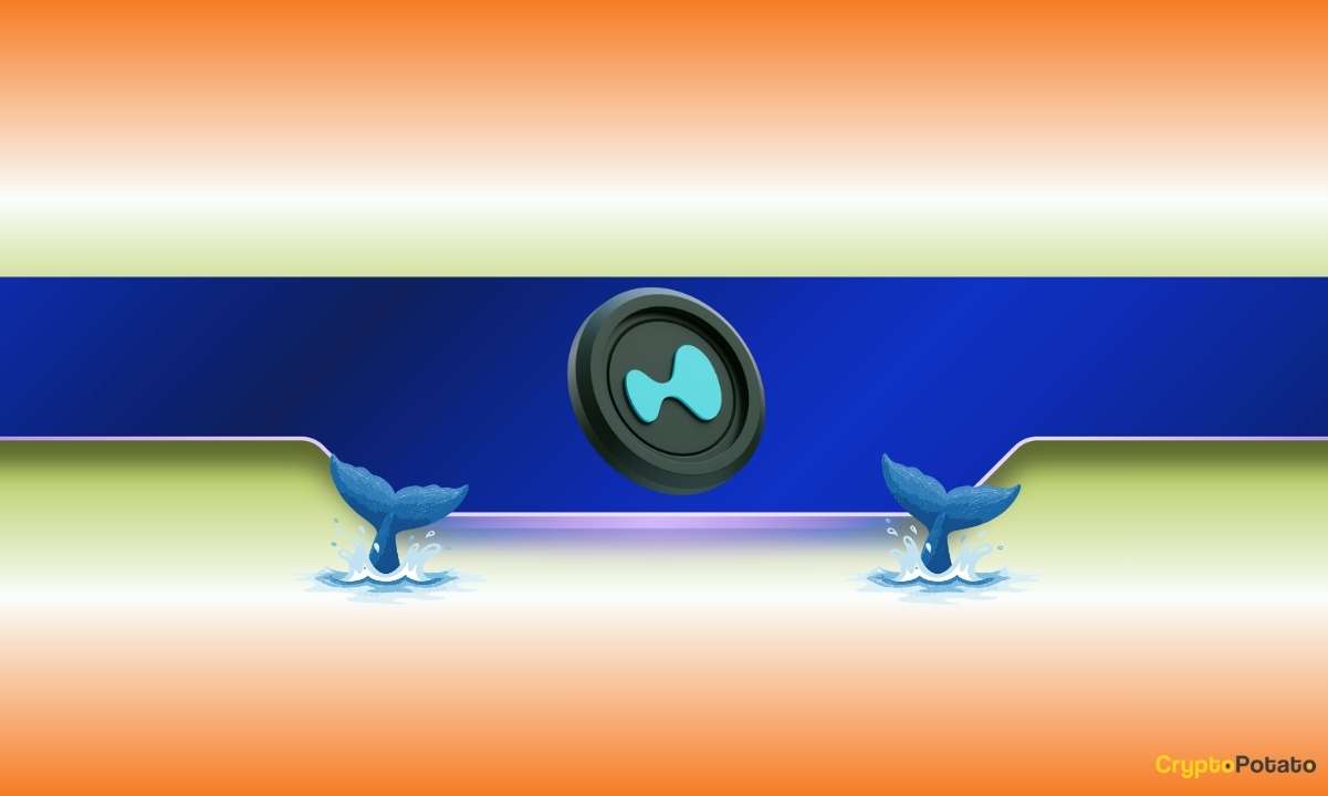 Hyperliquid (HYPE) Drops 5% - Could Whales Trigger an Even Bigger Sell-Off?