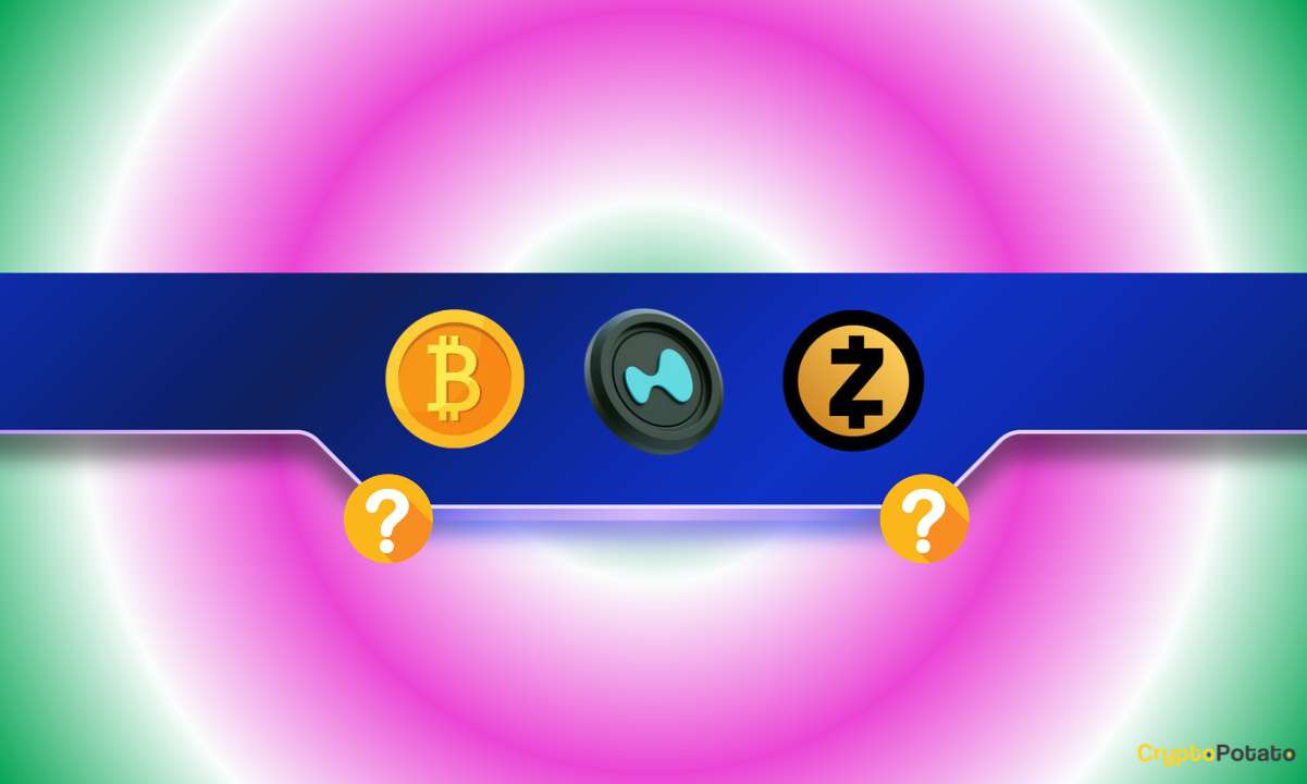 BTC, HYPE, and ZEC Ready for a Rebound? Analyst Explains Why