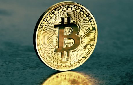 Bitcoin Is a Hedge and its Volatility Attracts Investors, Says SEEK Co-Founder