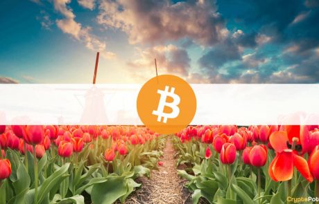 The Netherlands Must Ban Bitcoin Ahead of Price Crash, Says a Dutch Official