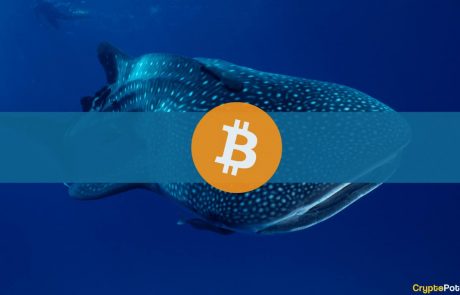 Third-Largest Whale Bought Almost $100 Million Worth of BTC Below $60K