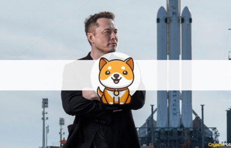 New Baby Doge Skyrockets 90% Following Elon Musk’s Latest Tweets