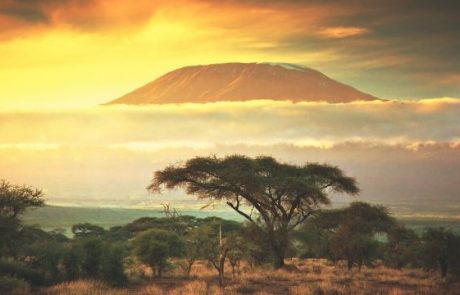 How Local Cryptocurrencies Help Kenyans Survive the Coronavirus Crisis