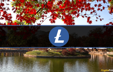 South Korean Crypto Exchanges Issue Investment Warnings After Litecoin’s MWEB Update