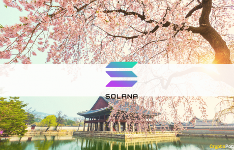 The Solana Foundation and ROK Capital Launch a $20 Million Fund