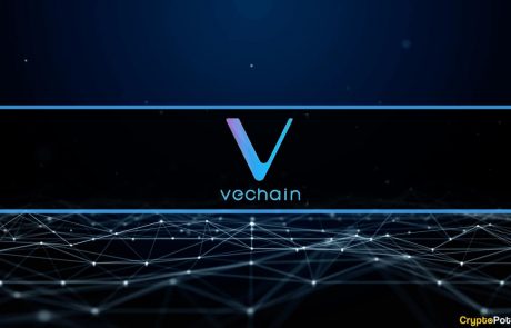 VeChain Treasury Held $1.2B in Crypto, Q1 Report States