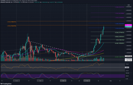 Cardano Price Analysis: After 135% Monthly Gains, Is ADA Set for a Larger Correction?