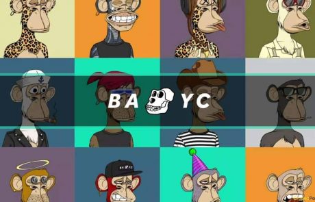 The Bored Ape Yacht Club (BAYC) NFT Collection: Everything You Need to Know