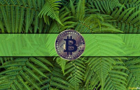 Green Market Watch: Bitcoin Rebounds $5K, Cardano and Polkadot Recover 25%