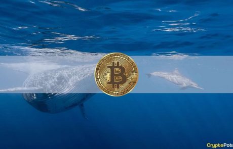 Bitcoin Whales Bought Almost $3.5 Billion (67K BTC) During the Crash to $42K