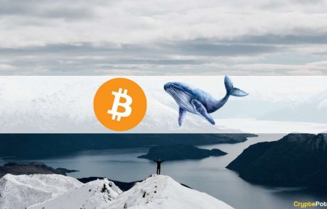 Bought The Dip: Third-Largest Bitcoin Whale Adds 207 BTC at $62K