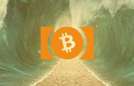 Why Bitcoin Cash Holders Are in For More Free Coins This November