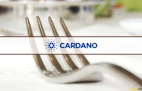 Cardano’s Vasil Hard Fork Explained: What to Expect from the Major Upgrade?