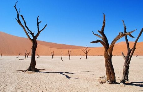Dead Altcoins: Overwhelming Number of Crypto Projects Without a Single New Line of Code in 2019