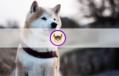 What is Floki Inu (FLOKI)? Everything You Need to Know About the Trending Memecoin