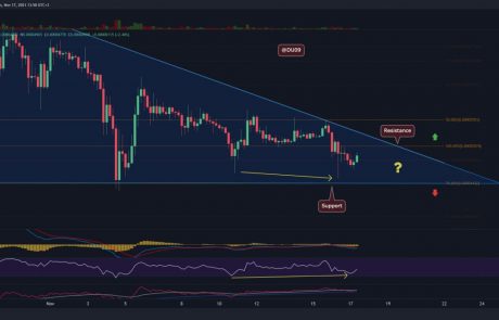 Shiba Inu Price Analysis: SHIB Facing a Critical Support, But Are Bears Exhausted?