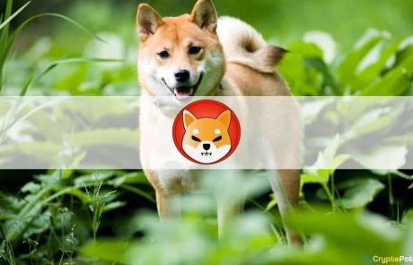Cashing Out Buterin’s $1B SHIB Donation Isn’t Easy, Says COVID-Crypto Fund’s Creator