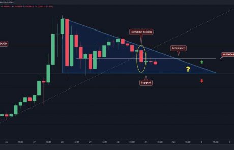 Shiba Inu Price Analysis: After 13% Daily Drop, SHIB Eyes Crucial Support Level